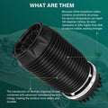 Rear Air Suspension Spring for Dodge Ram 1500 Limited Rebel (2013–2019)