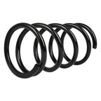 Set of 2 Rear Coil Springs for Toyota RAV4 (2001–2005)