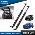 2 Rear Liftgate Lift Supports Strut for Jeep Grand Cherokee (1999–2004)