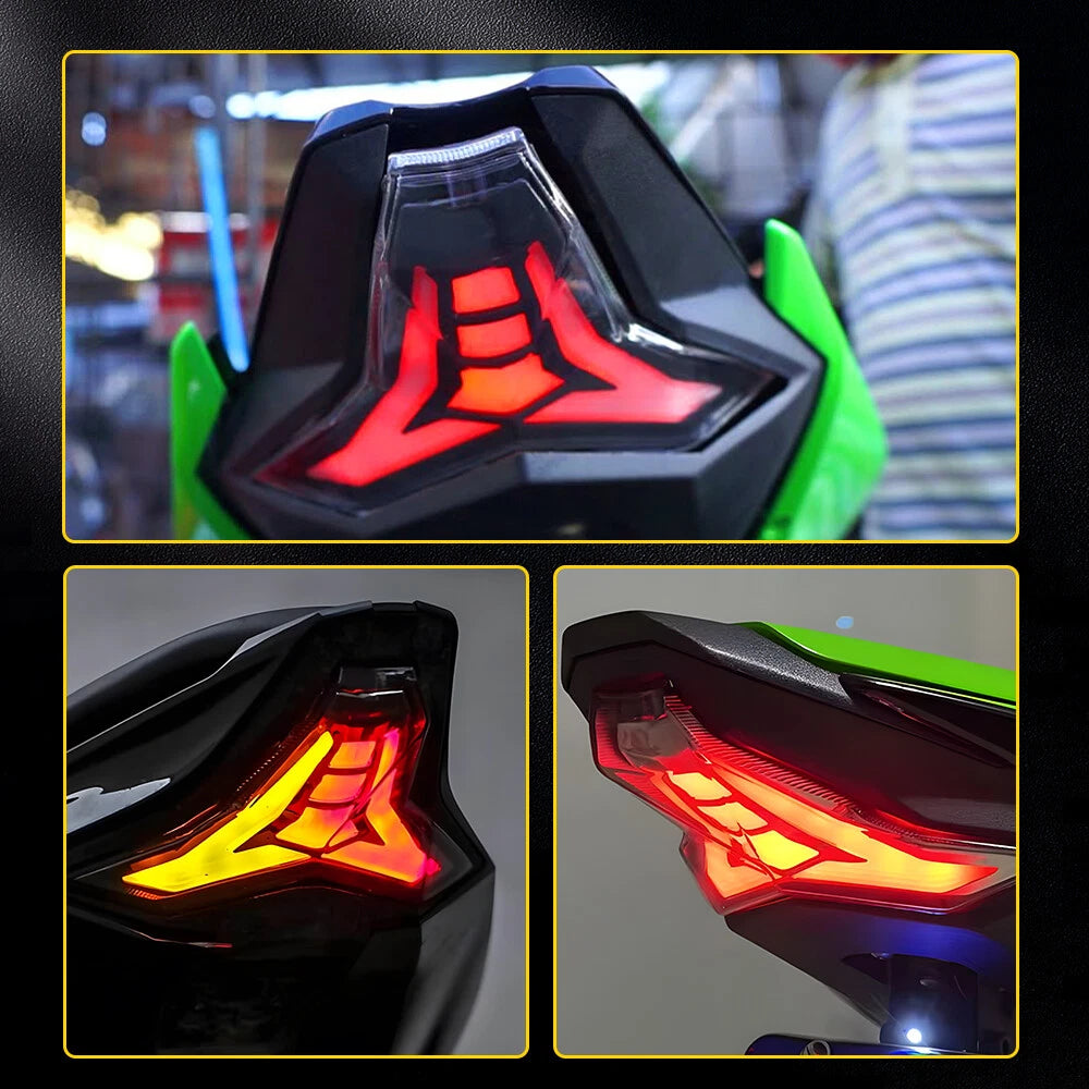 Tail Light Assembly for Kawasaki Ninja ZX-10R (2006-2023)