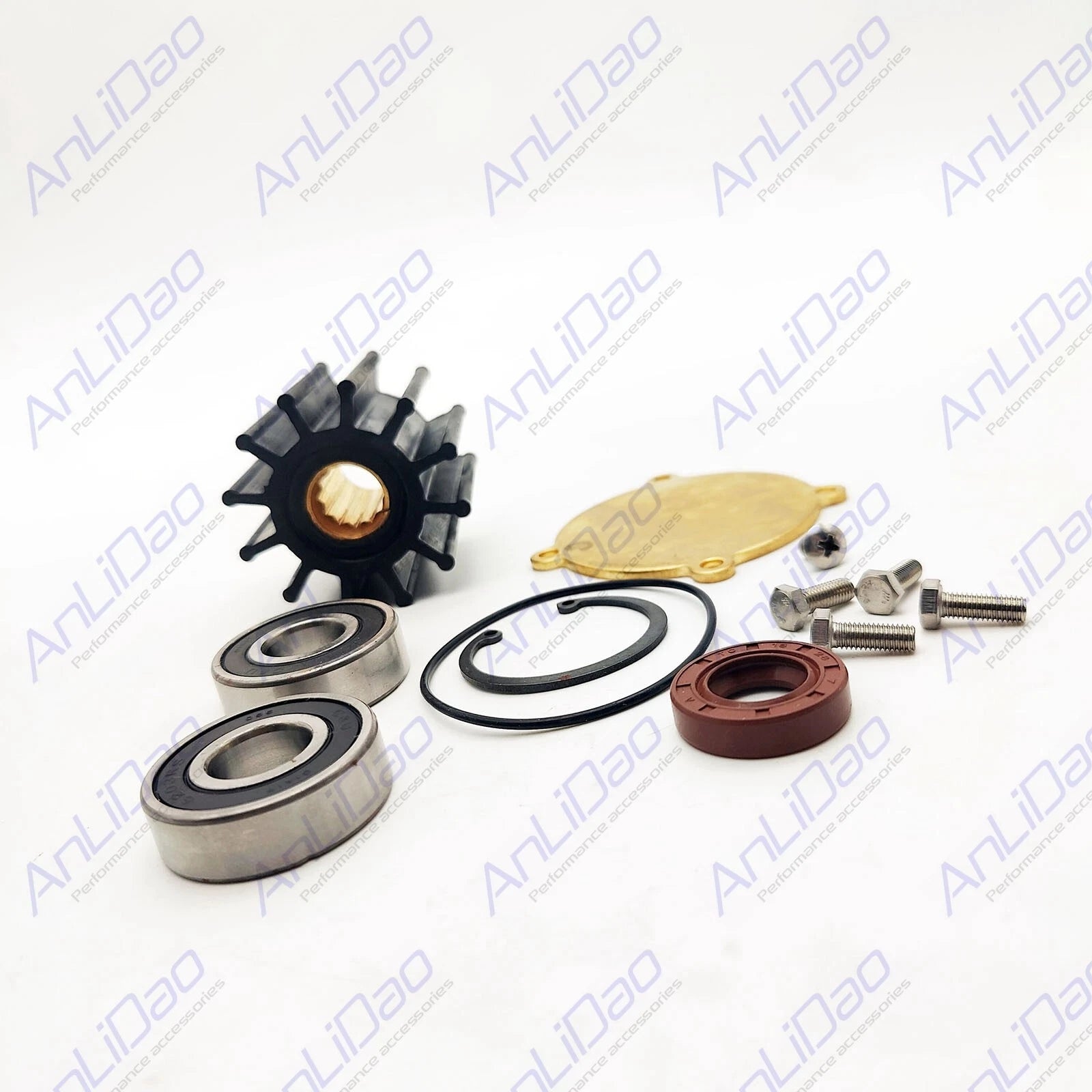 Minor Repair Kit with Bearings for Jabsco Pumps (50410-1201, 50410-1251)