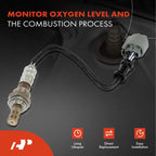Oxygen Sensor for Honda CR-V 2.4L (2001-2006)