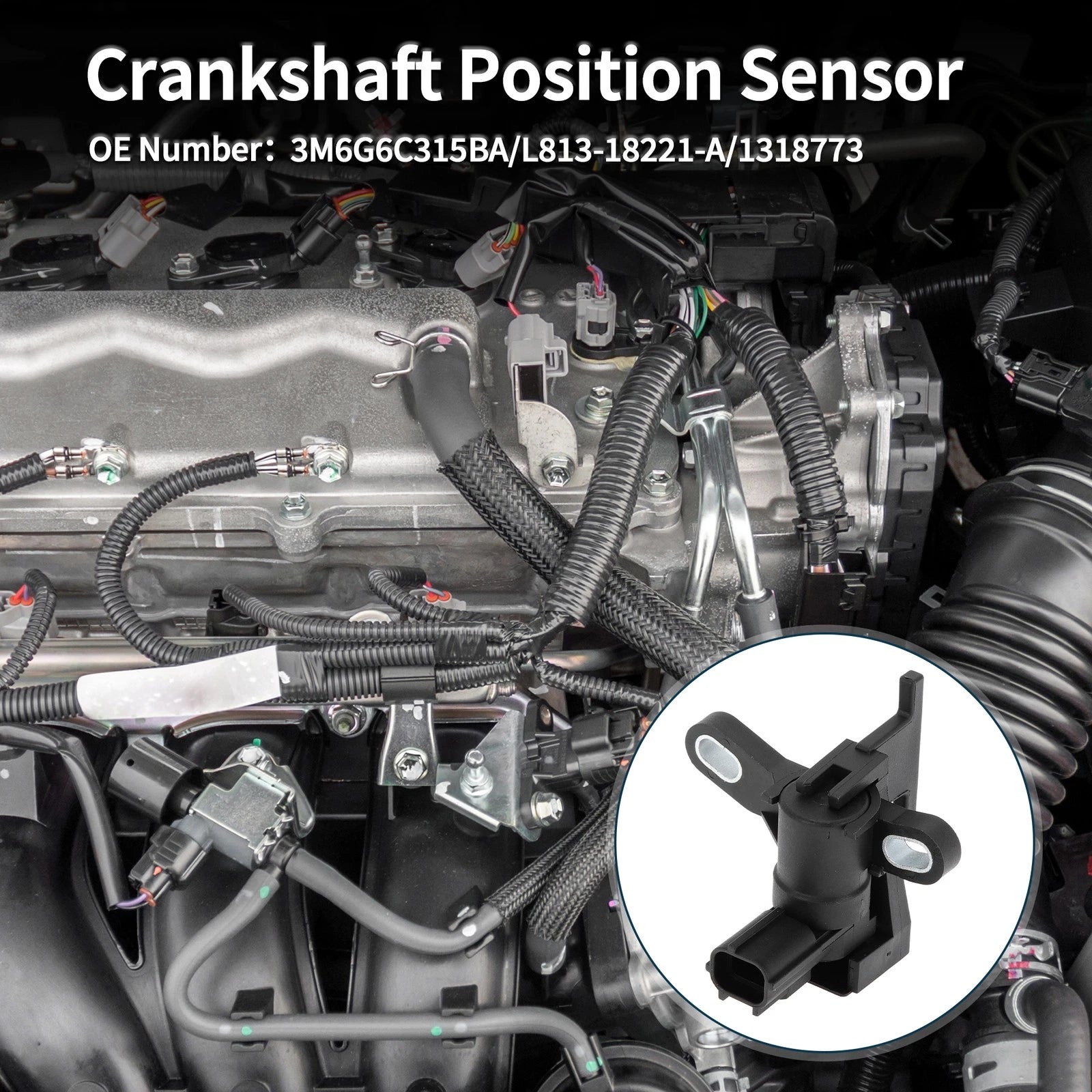 1 Pc Crankshaft Position Sensor No.L813-18221-A for Mazda Tribute (2009–2011)