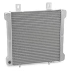 Radiator for Polaris Sportsman (2000–2004)