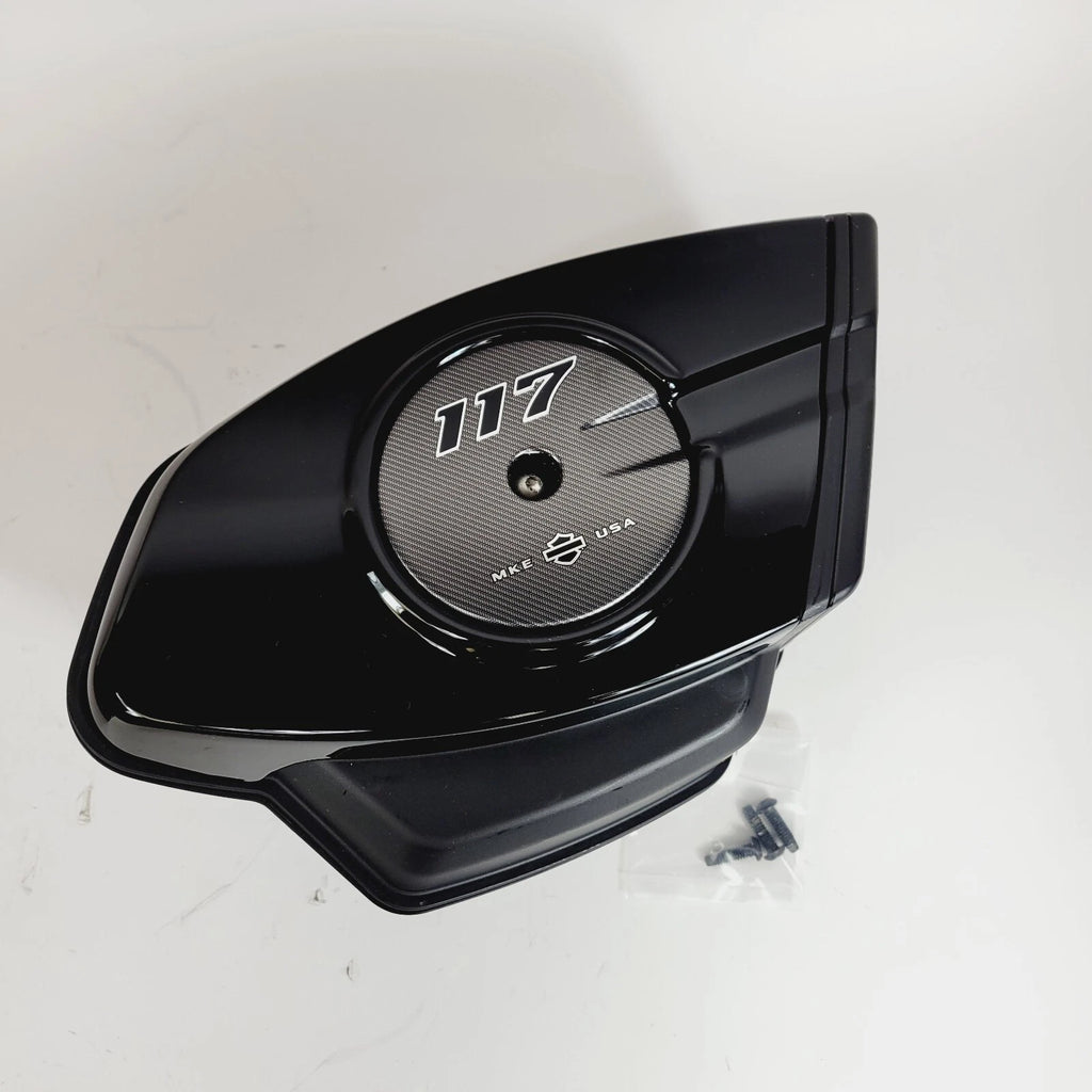 Air Cleaner Assembly for Harley Davidson Street Road Glide 117 (2024) 29000361A
