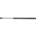 Liftgate Glass Lift Supports for Mazda Tribute