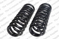 Front Coil Spring Kit for Ford (2015–2020) 4127577