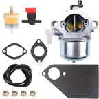 Carburetor Kit for 192402 192407 192412