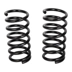 Set of 2 Rear Coil Springs for Nissan Altima Maxima (2002–2008)