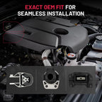 3PC Motor & Trans Mount Set for Ford Focus 2012–2018 2.0L A5312 A5520 A5612