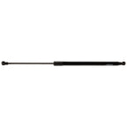 Liftgate Lift Supports for Various Vehicles