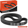 Serpentine Belt for Ford Escort (1998–2001)