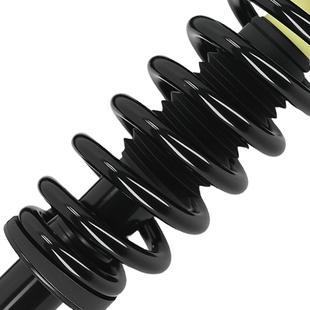 Set of 4 Suspension Struts Assembly for Lincoln Mark LT (2006–2008)