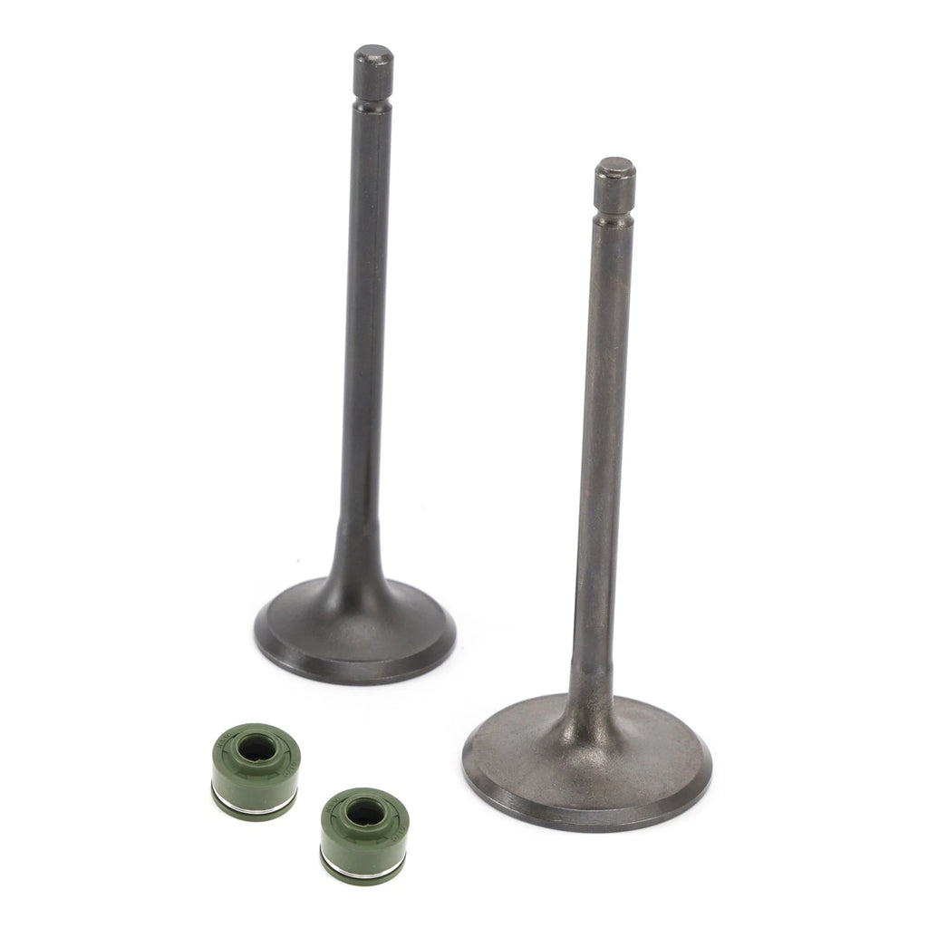 Intake & Exhaust Valve Seals Kit for Zongshen ZS250, Loncin, Lifan CG 250cc
