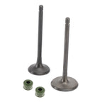 Intake & Exhaust Valve Seals Kit for Zongshen ZS250, Loncin, Lifan CG 250cc