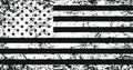 Whip Flag for DragonFire Racing (Tattered American Flag)