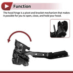 Hood Hinges for Honda Civic (2022–2023) 1 Pair