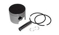 Piston Kit for Johnson Evinrude 50-70HP (5006694, 436976, G23740)