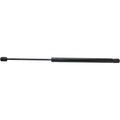 Hood Lift Supports for Dakota (Driver & Passenger Side)