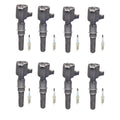 Set of 8 Ignition Coils & NGK Iridium Spark Plugs for Crown Victoria E-150 (1992–2011)