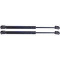 Front Hood Lift Support Shock Strut Pair for Infiniti M35 M45