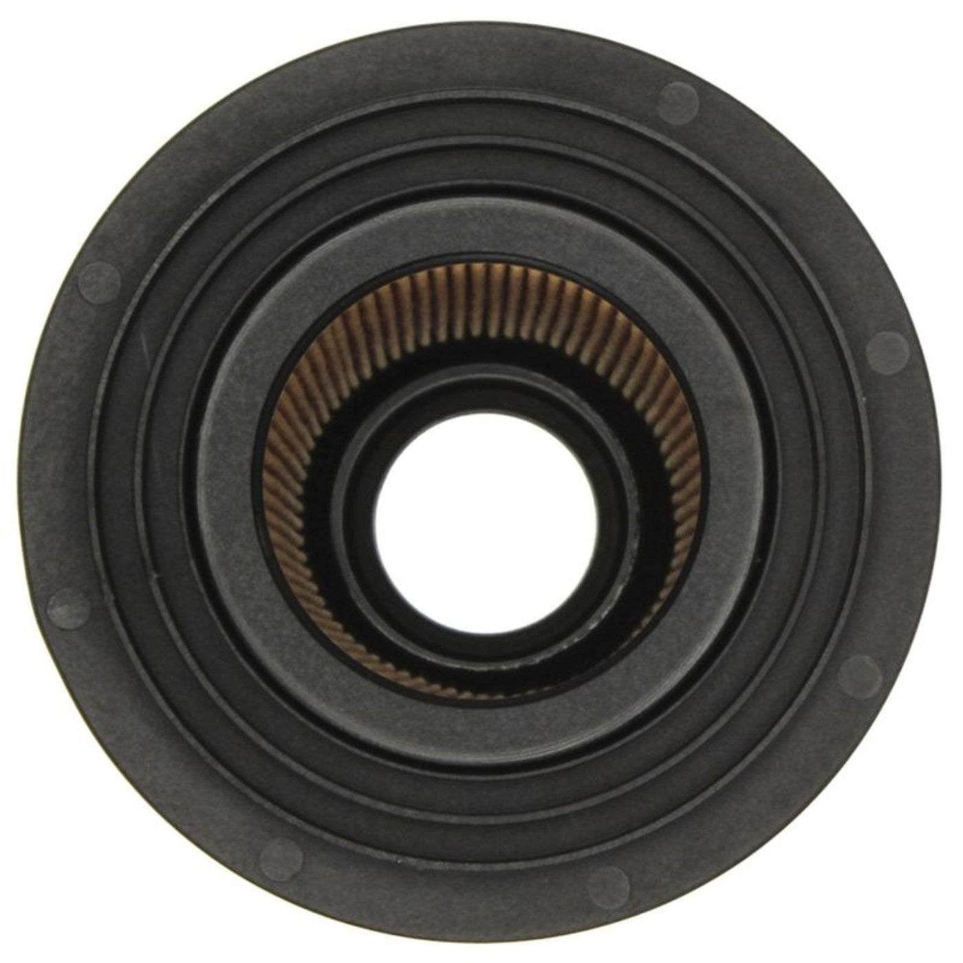 Oil Filters for BMW 5 Series, 7 Series, 8 Series, Land Rover Z8
