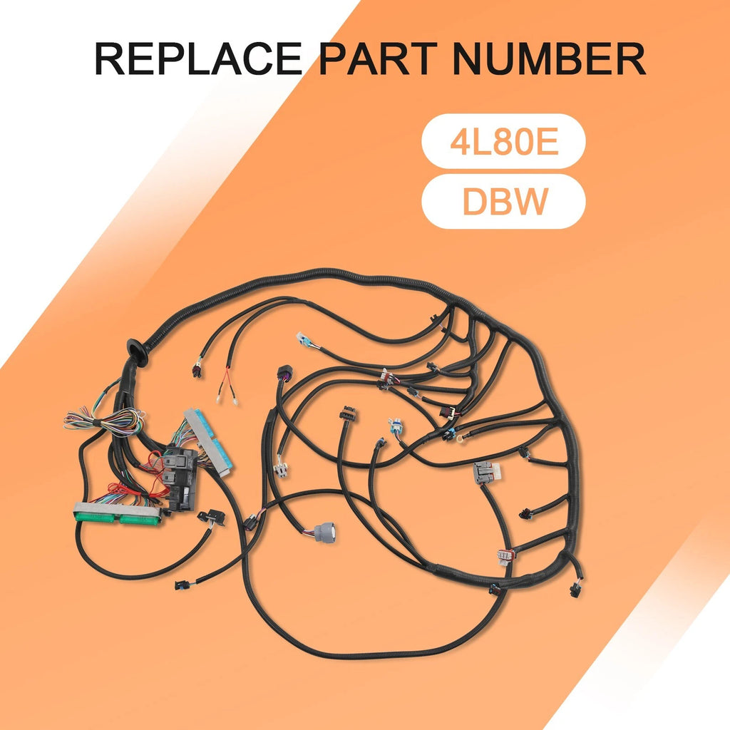 Standalone Wiring Harness for LS Vortec 4L80E (2003-2007)