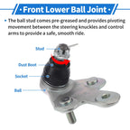 2X Front Lower Ball Joints for Toyota Sienna (2011–2020) No. 4334049015/4333009800