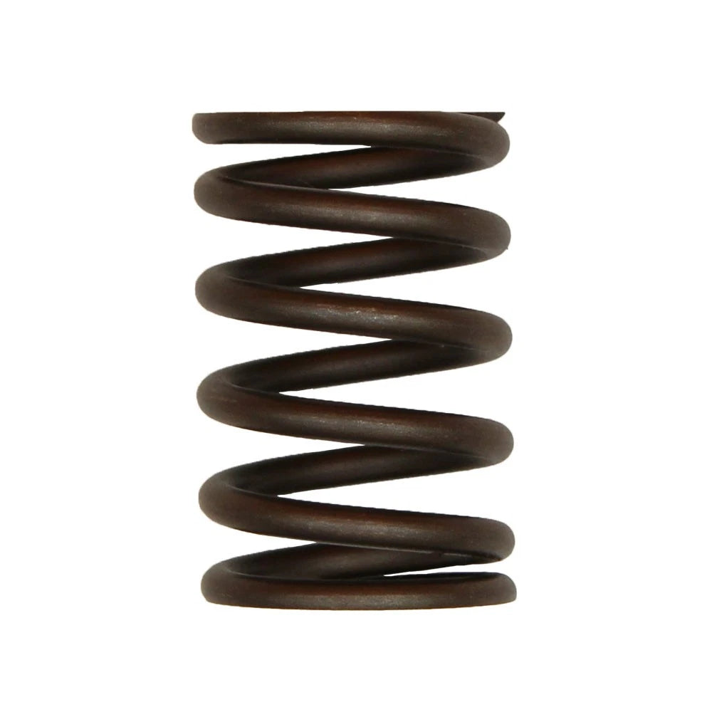 Valve Spring for Ford (Replaces 3911693)