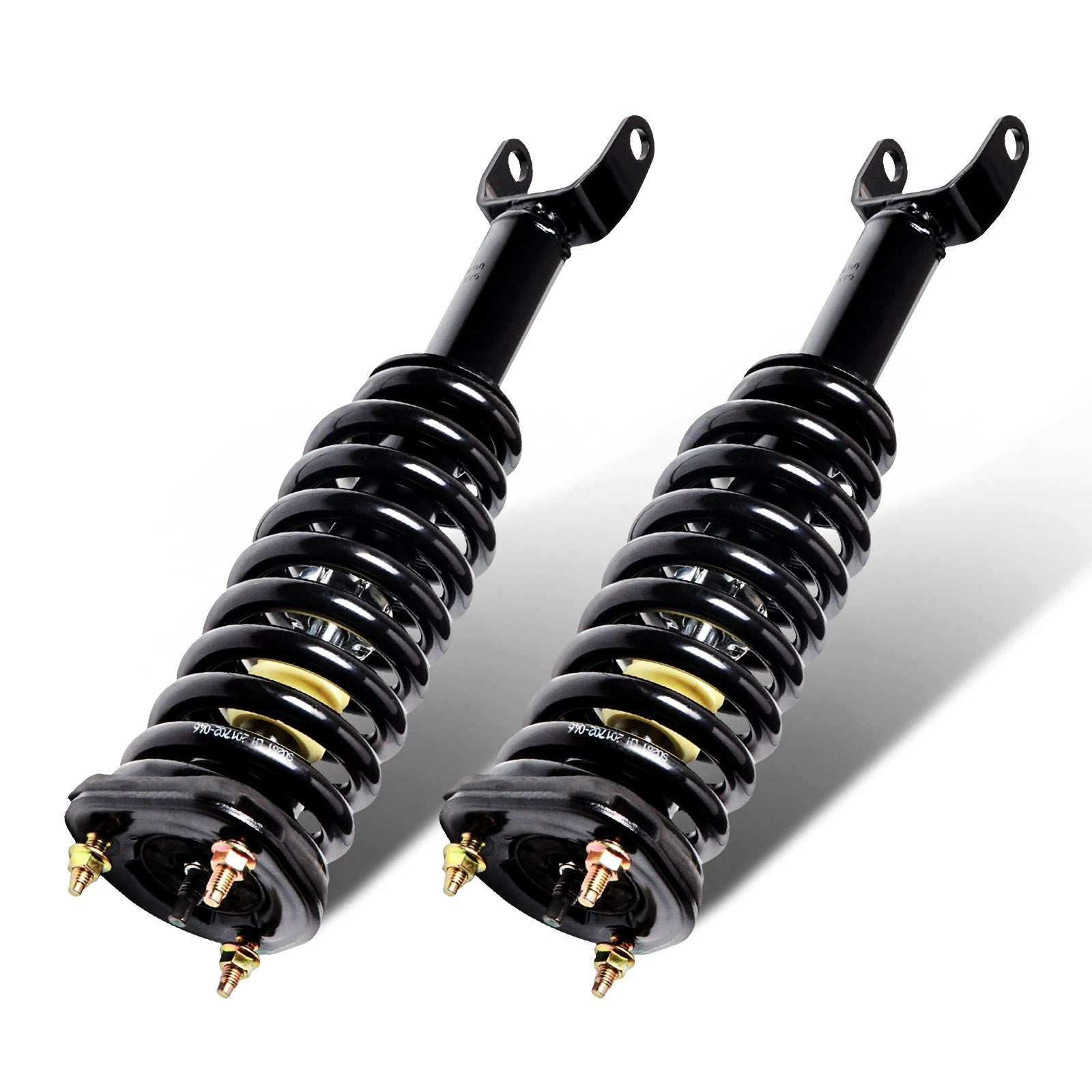 Set of 2 Quick Complete Struts for Dodge Dakota 2WD (2005–2009)