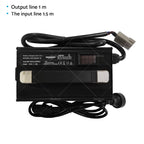 30A AC/DC Lithium Battery Charger for LiFePO4 (LED Display)