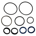Hydraulic Cylinder Seal Kit for John Deere (1401-1338)