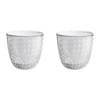 Transparent Self Watering Pot for Indoor Plants (Indoor Use)