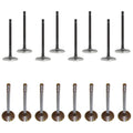 Set of 16 Intake & Exhaust Valves Kit for E-350 Econoline, F-250, F-350 (7.5L)