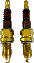 Spark Plug for Indian (E18-6656IDS)