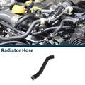 Radiator Hose for Porsche Panamera 2009-2016 Cooling Pipe