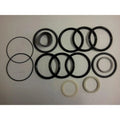 Hydraulic Seal Kit for Case W14 310 1150 780B 850 W7 580 450 780C (Fits)