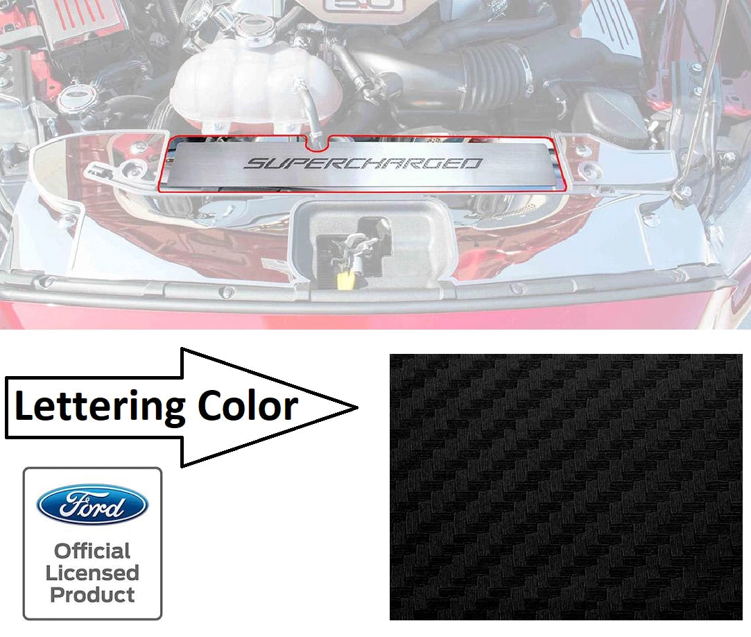 Radiator Cover Trim Plate Black Carbon Fiber for 2015–2017 Mustang GT