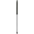 Liftgate Lift Supports for Various Vehicles