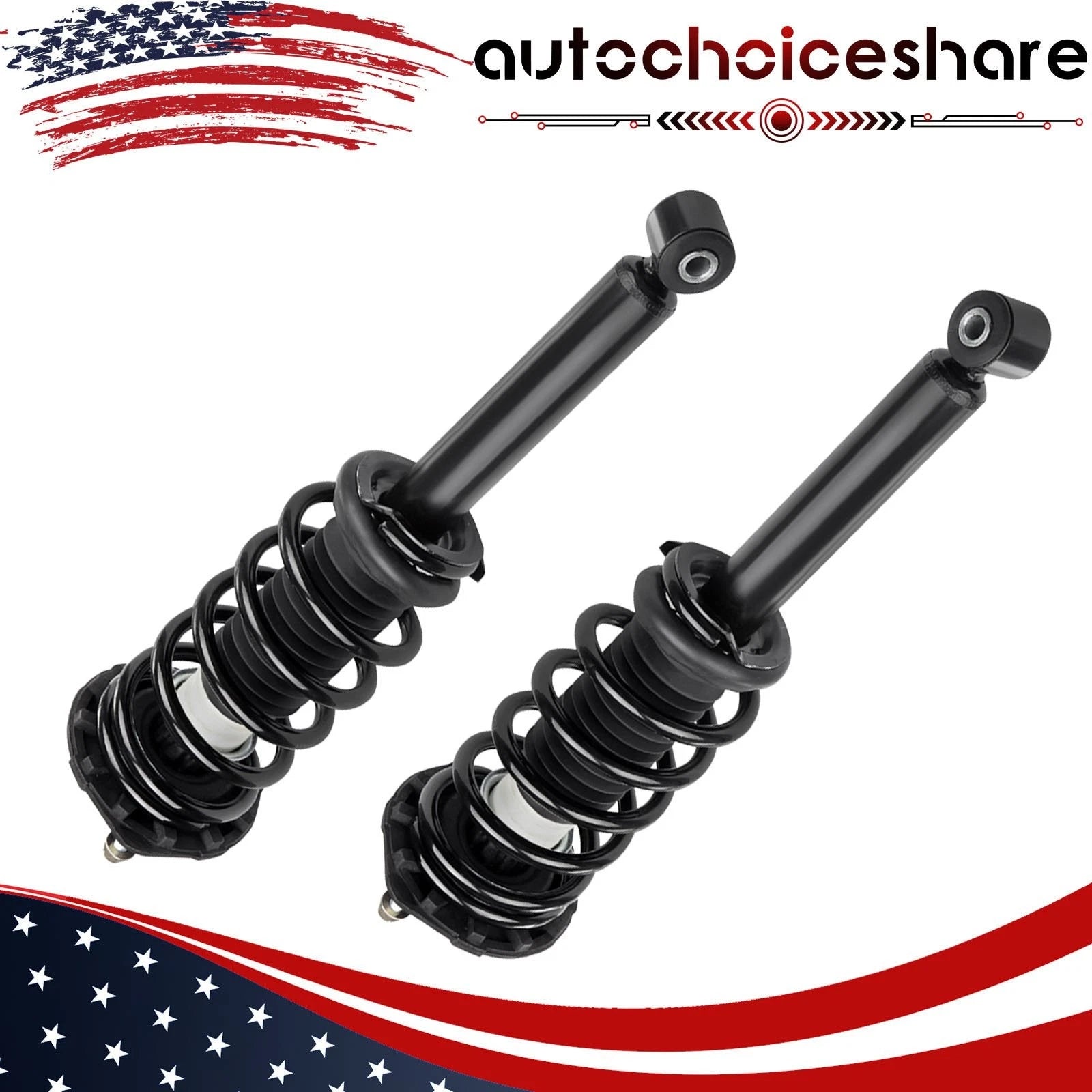 Set of 2 Rear Complete Struts with Coil Spring for Nissan Maxima (2000–2003)