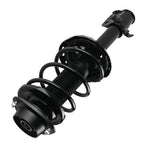 Set of 2 Struts w/ Coil Springs for Subaru Forester (2004–2005)