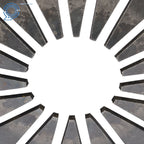 Clutch Kit for Mini Cooper R50 (2002-2004) 5 Speed