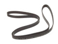 Multi Rib Belt for Mazda MPV (2002–2006) BW119JN
