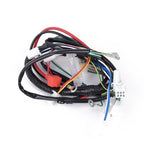 CDI WIRE HARNESS-STATOR ASSEMBLY for ATV Electric-Quad