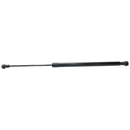 Set of 2 Liftgate Glass Lift Supports for Driver or Passenger Side