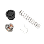 Thermal Regulator Kit for Pentair Mastertemp Pool Spa Heaters (125–400)