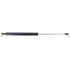Lift Support for Lexus LS430 (2001–2006) Hood Driver or Passenger Side