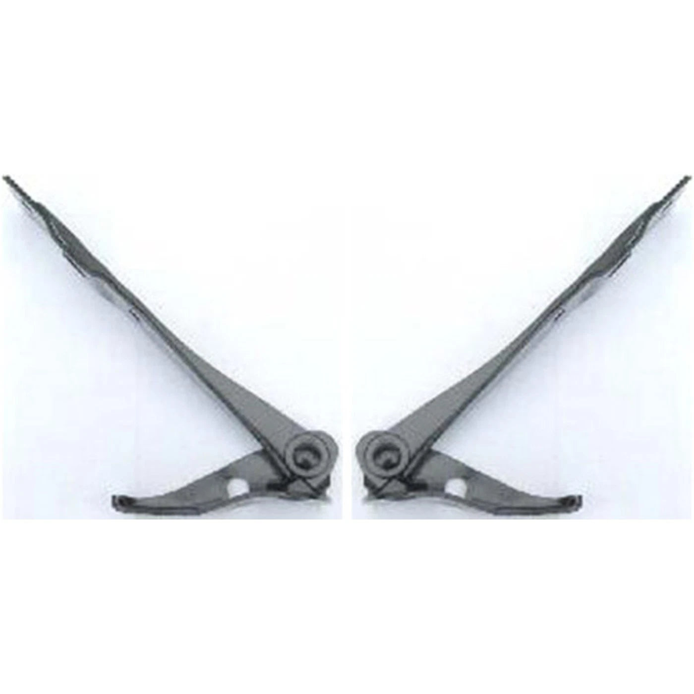 Hood Hinges Set of 2 for Acura MDX TL