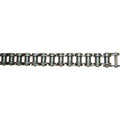 Roller Chain for Unloading Auger Drive (AMAXE53952)