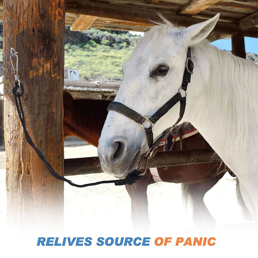 Horse Tie Ring with Eye Bolts & Snaps for Horses to Prevent Pulling